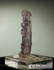 Растворенный кристалл скаполита